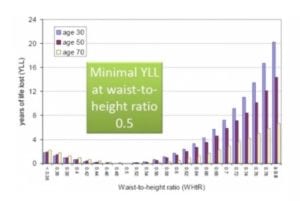 Waist-to-Height Ratio Is More Predictive of Years of Life Lost than Body Mass Index