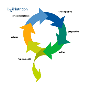 Stages of Change long-term maintenance