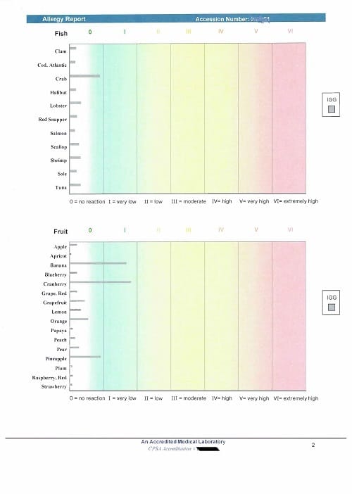 IgG Food Sensitivity Report Example 2