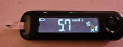 BBDNutrition - blood glucose 2 hours after first phase insulin response mimic